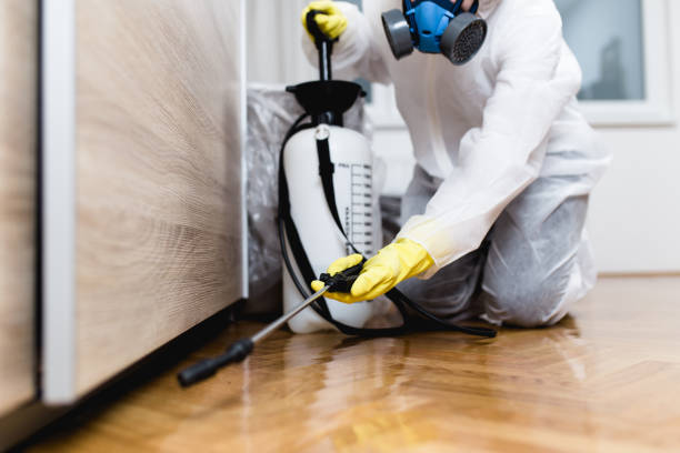 Best Local Pest Control Services  in Newaygo, MI