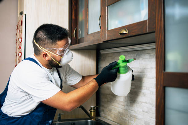 Best Pest Control Near Me  in Newaygo, MI