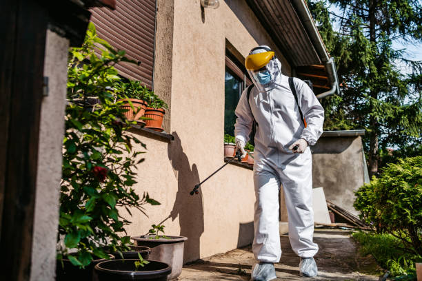 Best Wasp Removal Services  in Newaygo, MI