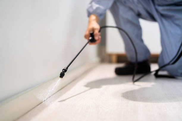 Pest Control Cost in Newaygo, MI
