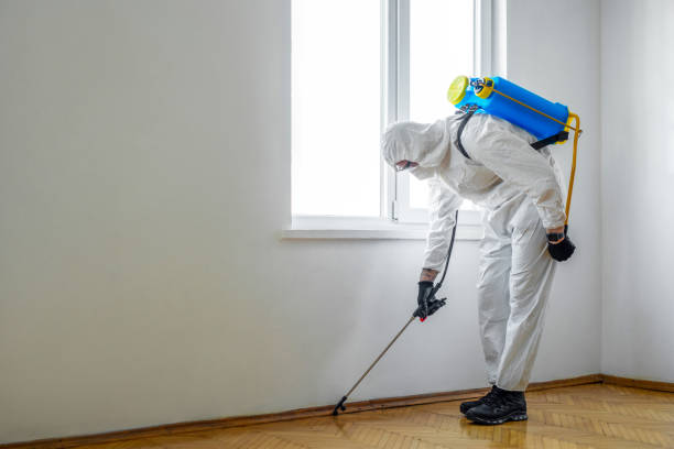 Best Affordable Pest Control Services  in Newaygo, MI