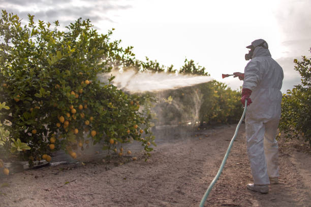 Best Exterminator Services  in Newaygo, MI