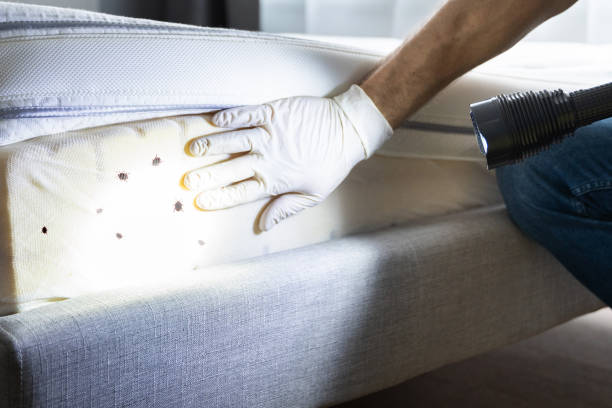 Best Best Pest Control Companies  in Newaygo, MI