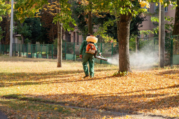 Best Cockroach Control Services  in Newaygo, MI